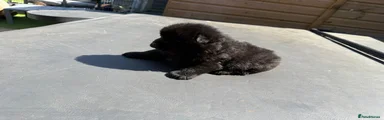 Black boy 2