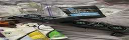 Goldfish fish for sale: reef marine fish tank  - Advert 20