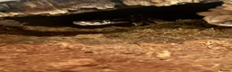 Python Snake reptiles for sale: ball python - Advert 6
