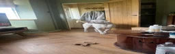 Mixed Breed dogs for sale: Bully mix for rehoming in Newton Aycliffe - Advert 8