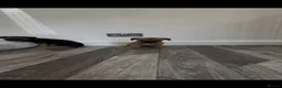 Border Terrier dogs for sale: Border terrier - Advert 8