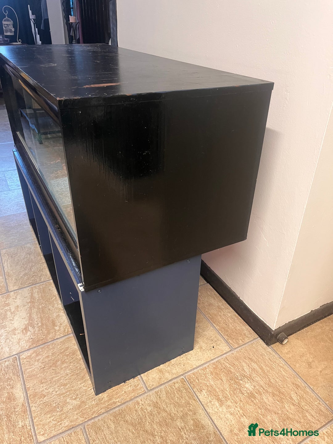 Python Snake reptiles for sale: Very sweet ball python and tank and unit  - Advert 21