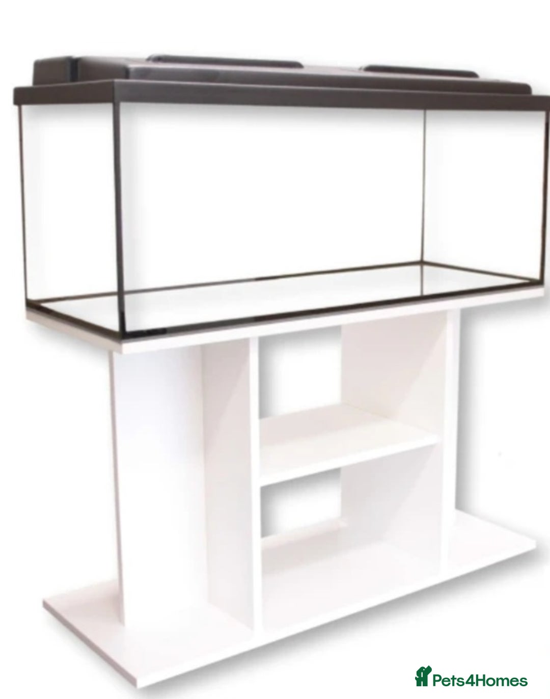 Tetras fish for sale: 160L tank with stand - Image 5
