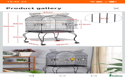 Lovebirds birds for sale: Lovebirds couple with cage - Advert 5