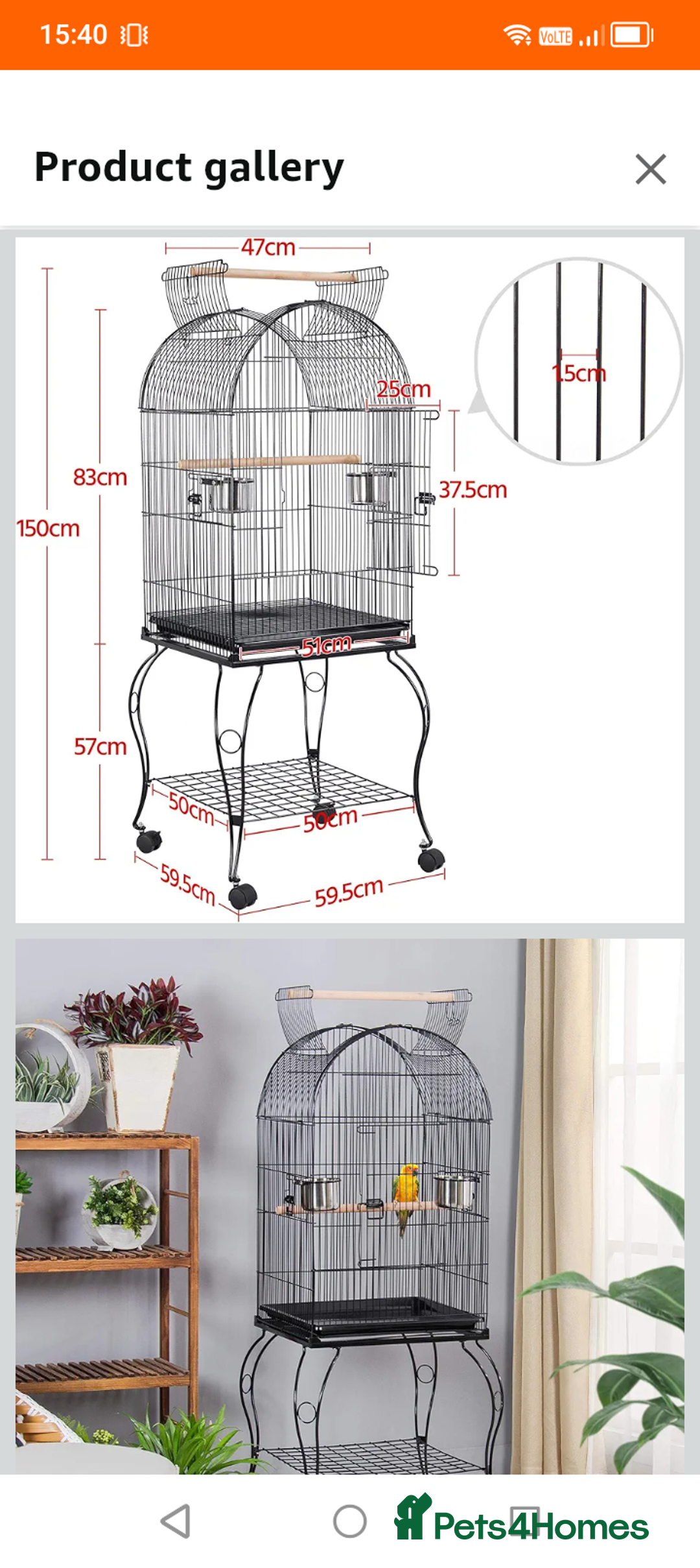 Lovebirds birds for sale: Lovebirds couple with cage - Advert 5