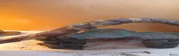 Bearded Dragon reptiles for sale: Beautiful baby  - Advert 3