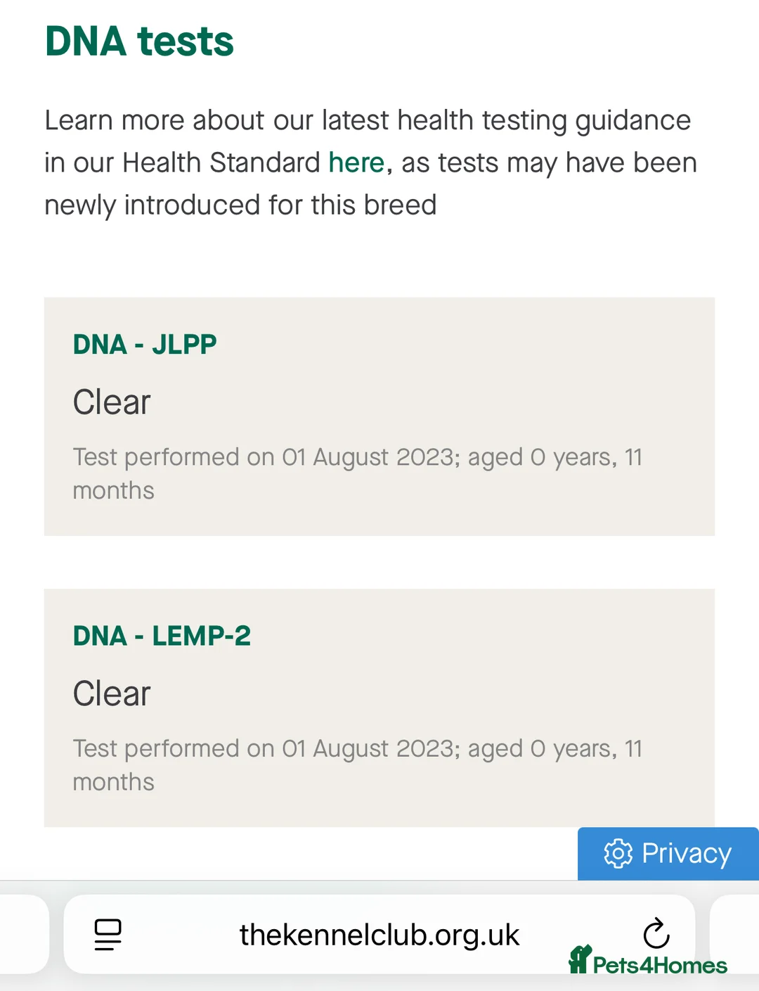 Rottweiler dogs for stud: HUGE HEALTH TESTED STUD - 0/0 hips 0/0 elbows in Bedford - Advert 27