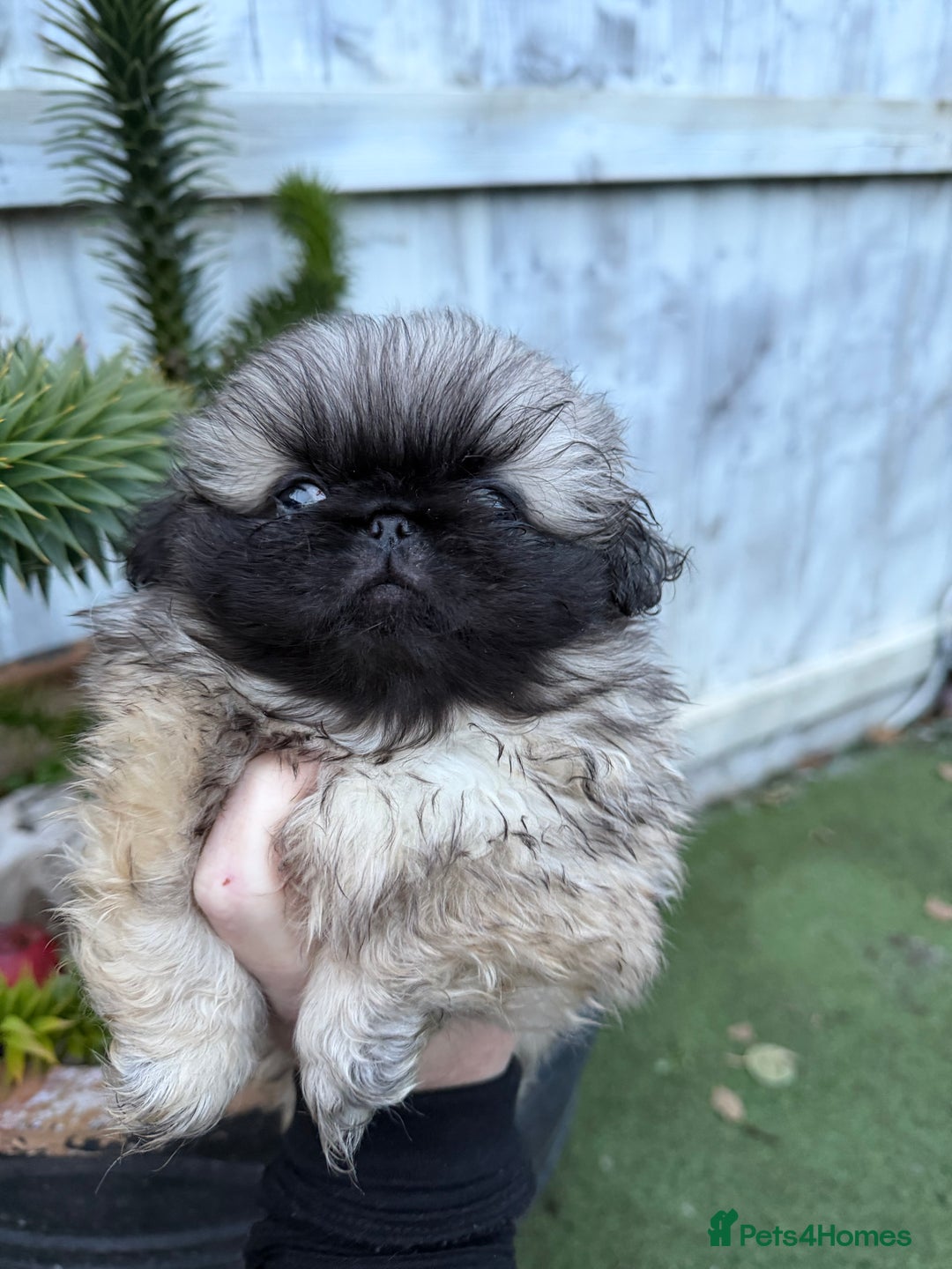 Gallery Image {{count}}