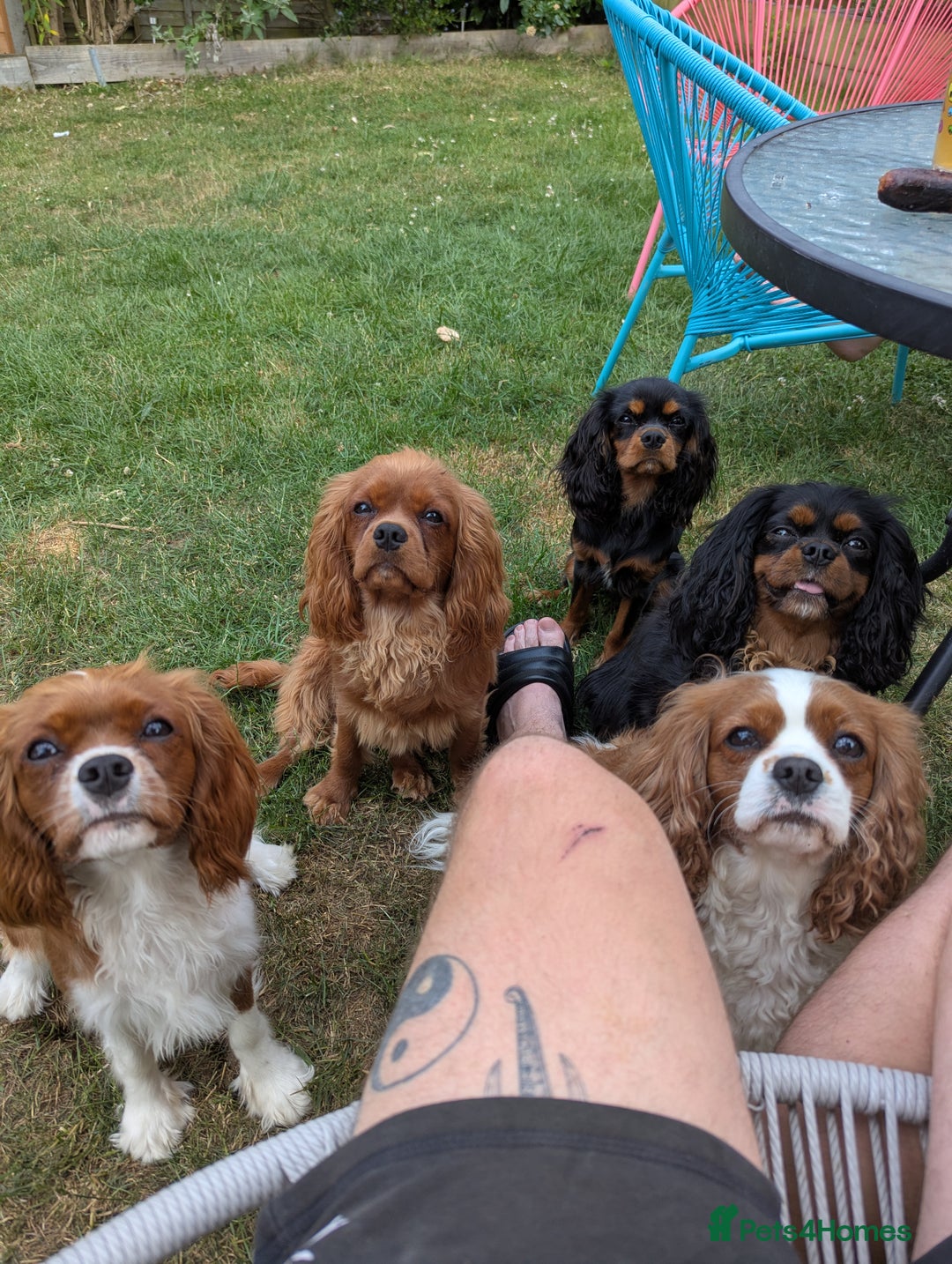 Gallery Image {{count}}