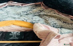 Scottish Fold cats for sale: Last boy available ❤️ looking for new 🏠 - Image 6