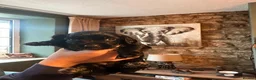 Sprocker dogs for sale: Sprocker pups for sale - Advert 9