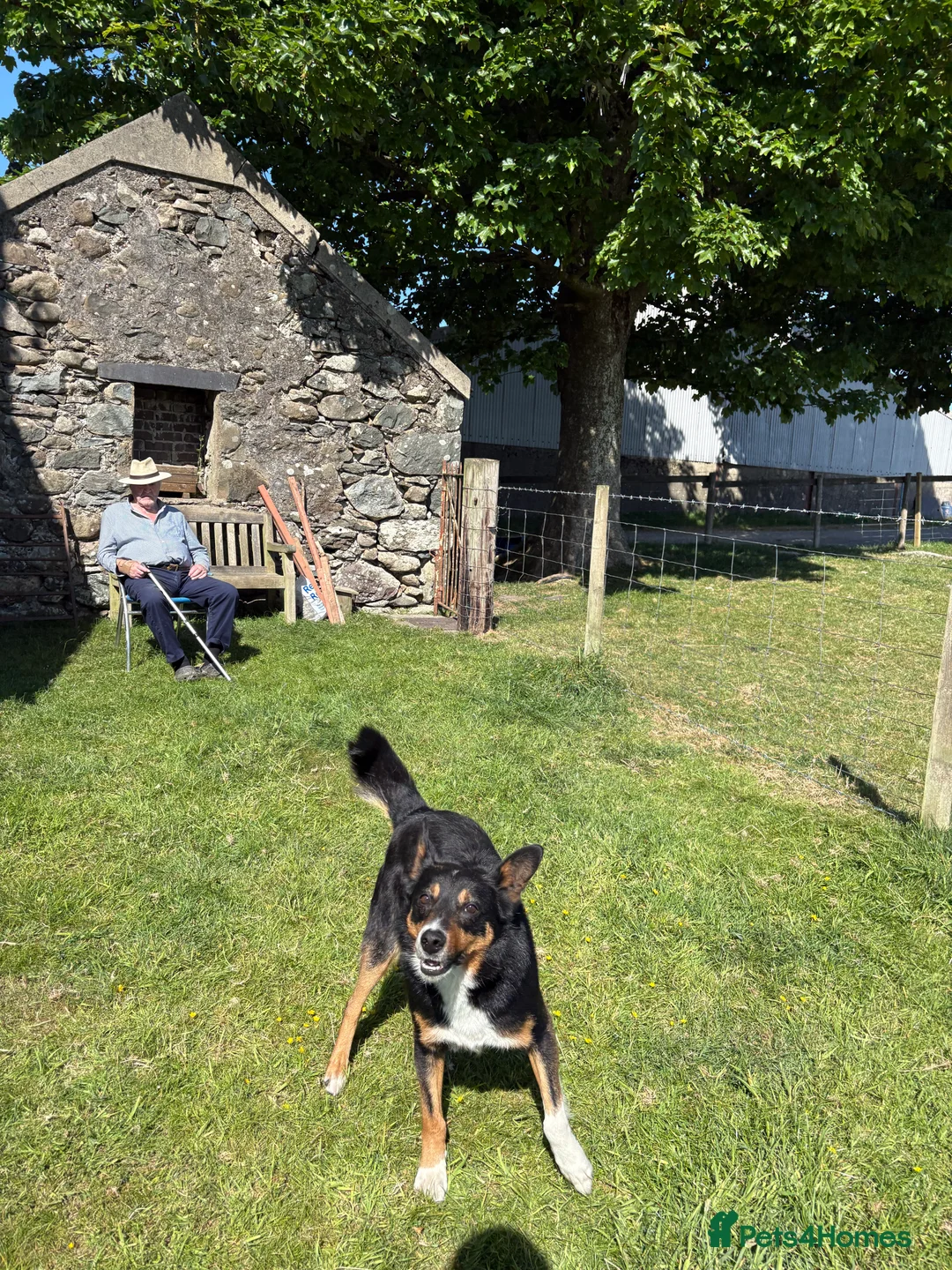 Gallery Image {{count}}