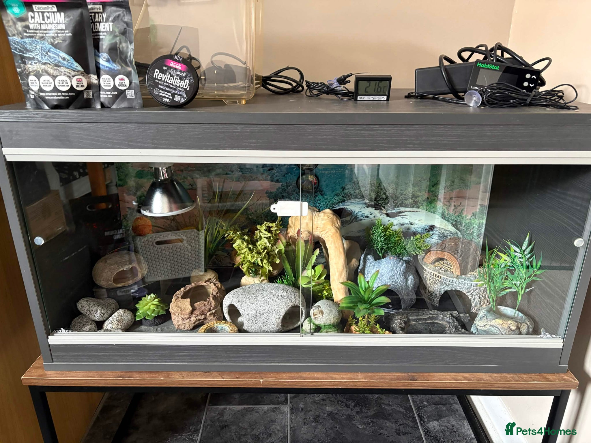 Leopard Gecko reptiles 3ft Viv for Leopard Gecko - Includes everything! - Advert 2