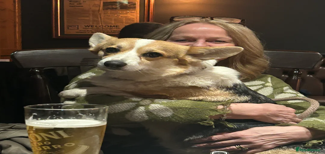 Gallery Image {{count}}