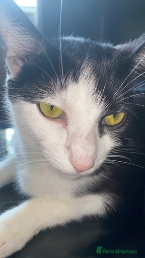 Gallery Image {{count}}