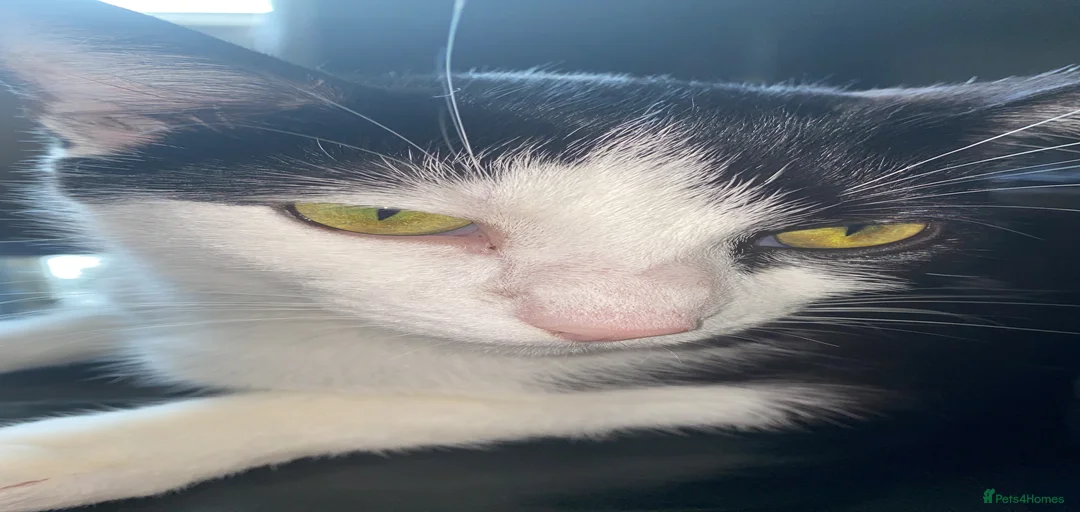 Gallery Image {{count}}