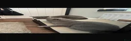 British Shorthair cats for sale: Tilly & Lily  - Advert 7