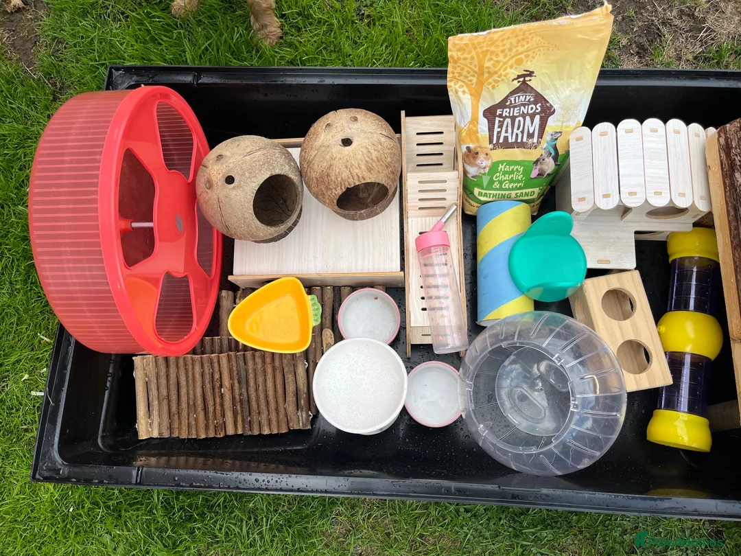 Hamster rodents for sale: Savic plaza cage  - Advert 2