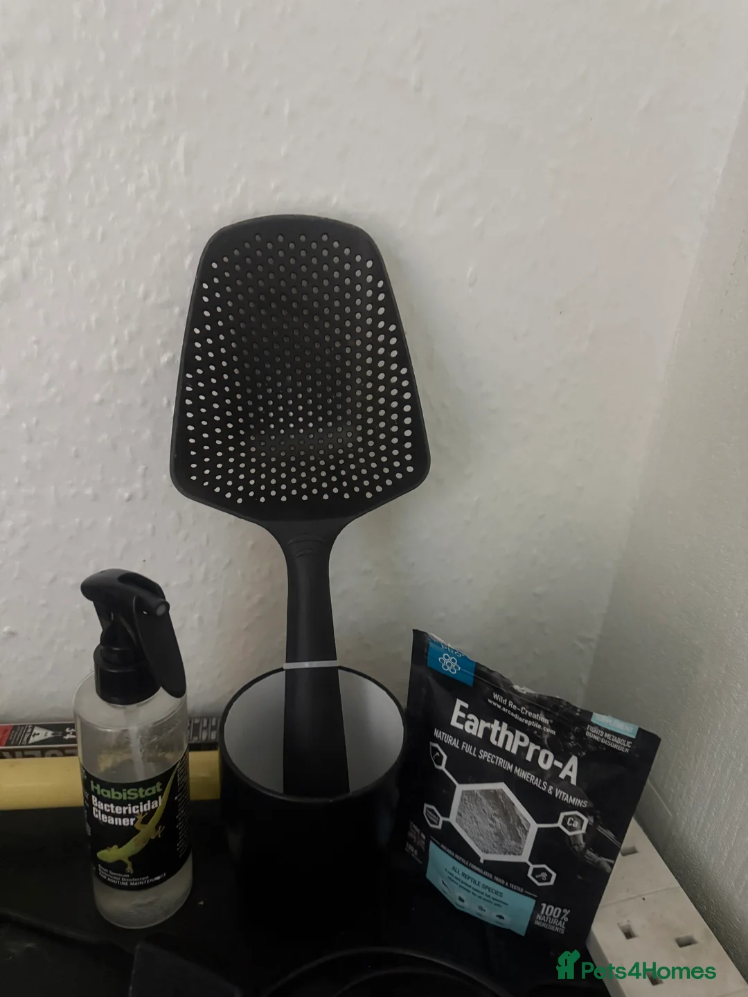 Bearded Dragon reptiles for sale: Bearded dragon and complete set up - Advert 9