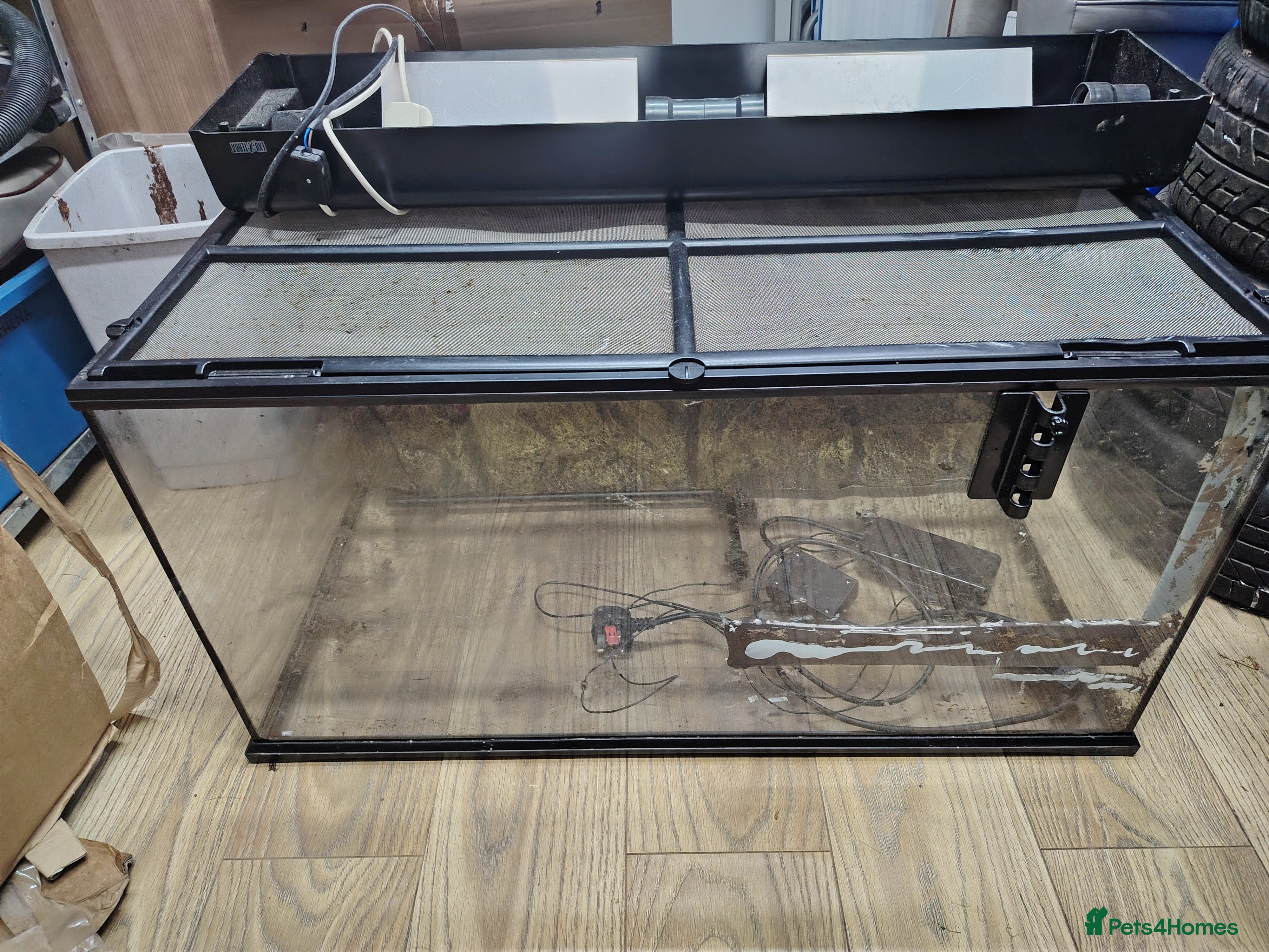 Mixed Breed reptiles 3ft glass viv - Advert 2