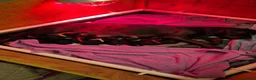 Labrador Retriever dogs for sale: Black labrador puppies  in Wymondham - Advert 1