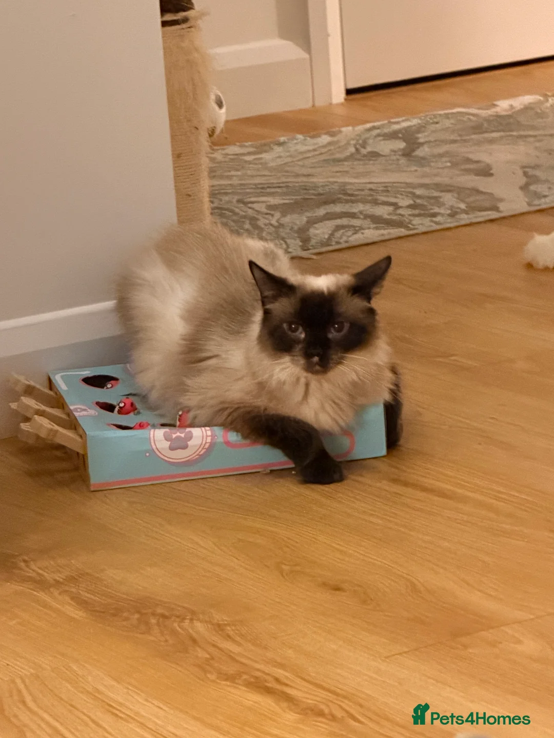 Gallery Image {{count}}