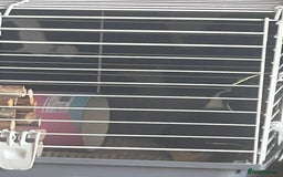 Guinea Pig rodents for sale: Two 2-Month-Old Guinea Pigs With Complete Setup  - Image 8