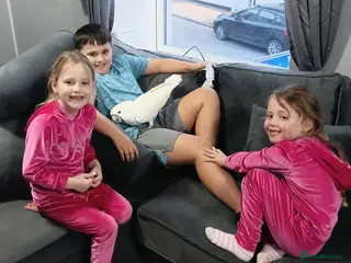 Cockatoo birds leo the parrot - Advert 7