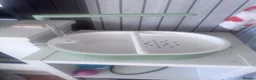 Budgerigars birds for sale: 4 beautiful budgies  in Romford - Advert 6