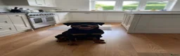 Rottweiler dogs for sale: Amazingly beautiful 1.5 years Rottie in Oldbury - Advert 2