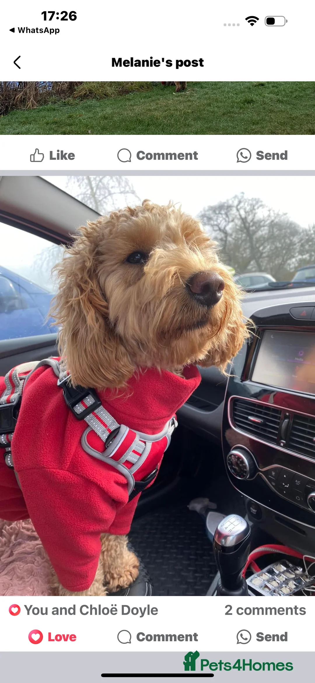 Gallery Image {{count}}