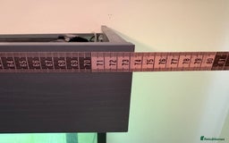 Fancy Goldfish fish for sale: Fancy Goldfish, with full set up  - Image 5