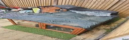 Guinea Pig rodents for sale: Guinea pigs and cages  in Bridgwater - Advert 5
