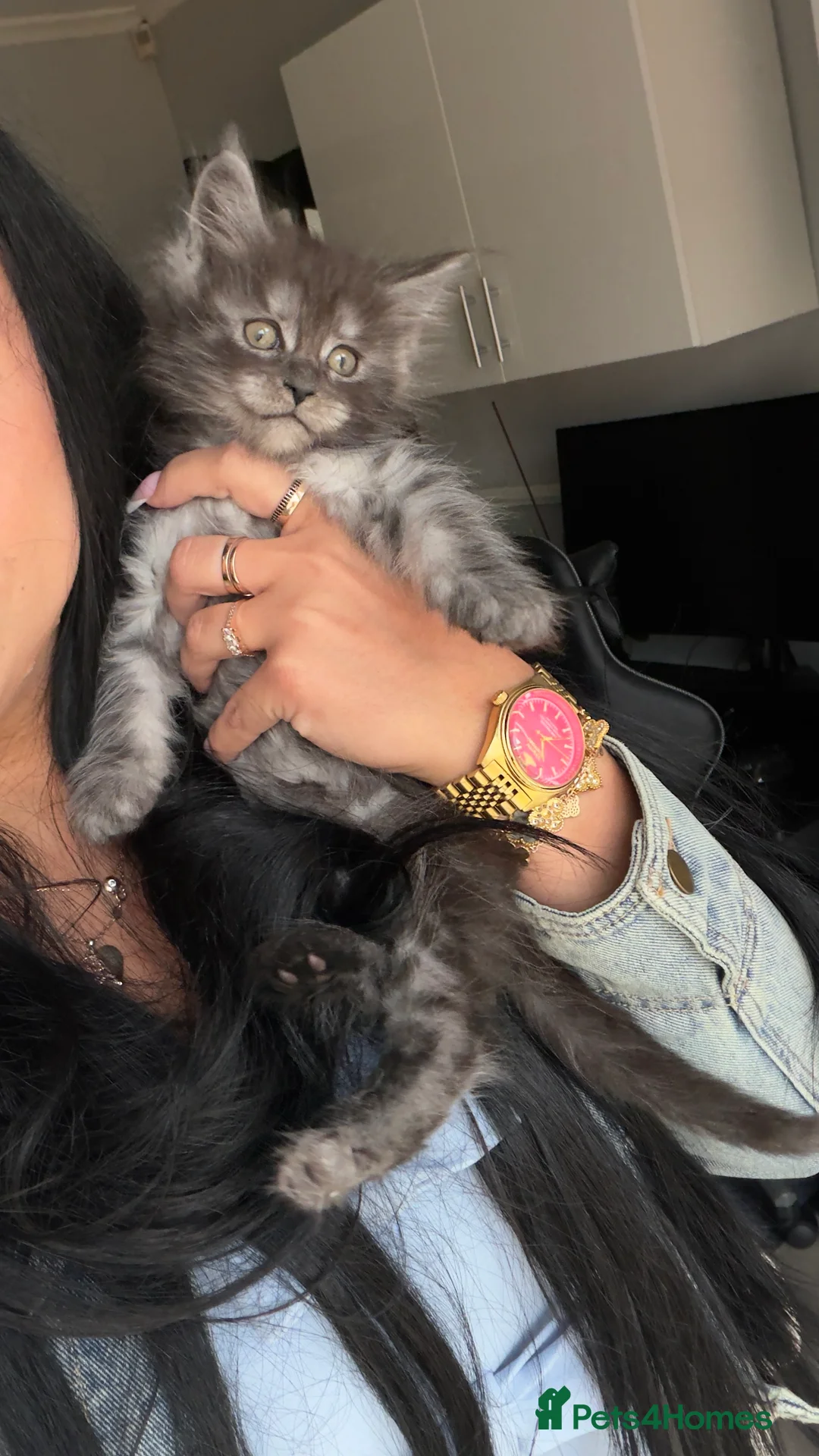 Maine Coon cats for sale: XL Russian maine coon lovely girl ready🏠 🐈‍⬛ 🩷 - Advert 2