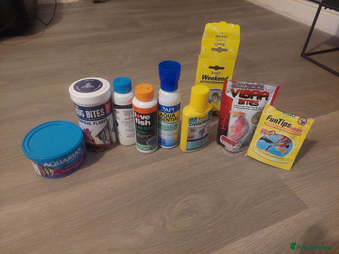 Other/Mixed Breed fish for sale: 2 fish tank with every thing inside - Image 11