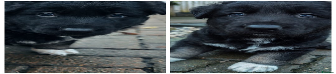 Pink collar girl 🩷