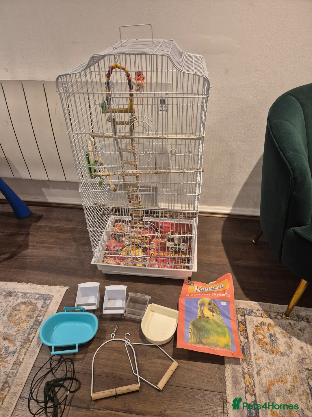 Cockatiels birds for sale: Bird Cage for Cockatiel, budgie, parrots, - Advert 2