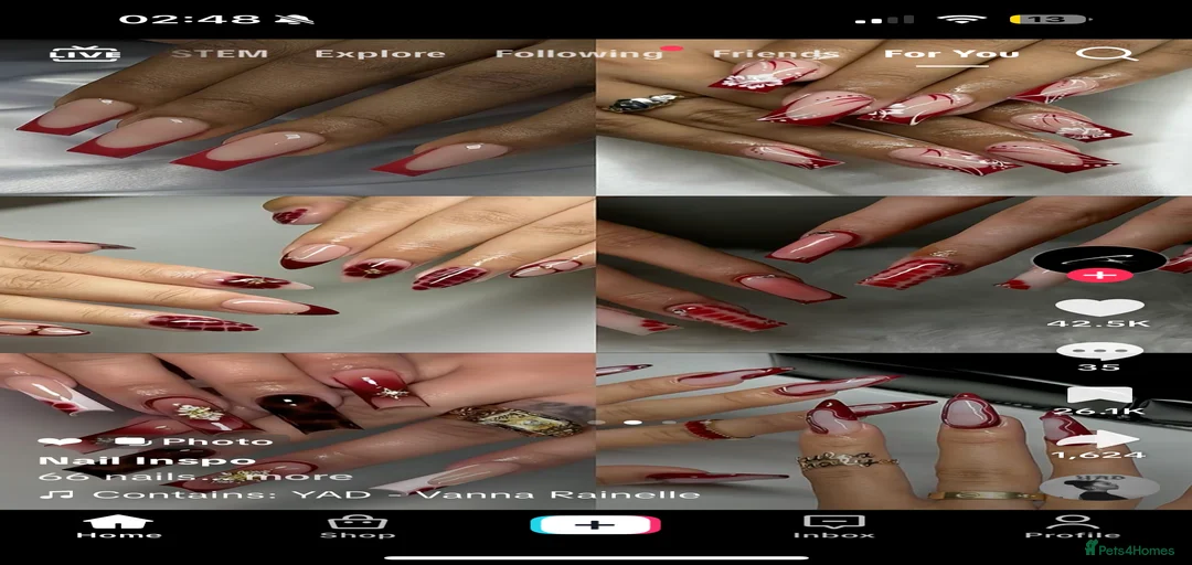 Gallery Image {{count}}