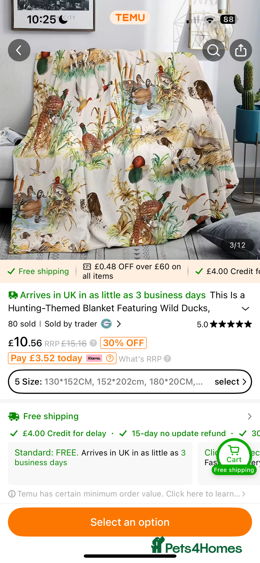 English Springer Spaniel dogs for sale: Fun whistle trained and crate clean by 8 weeks   - Advert 4