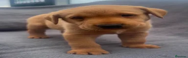 topaz