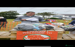 Mastiff dogs for sale: Mastiff puppies  - Image 12