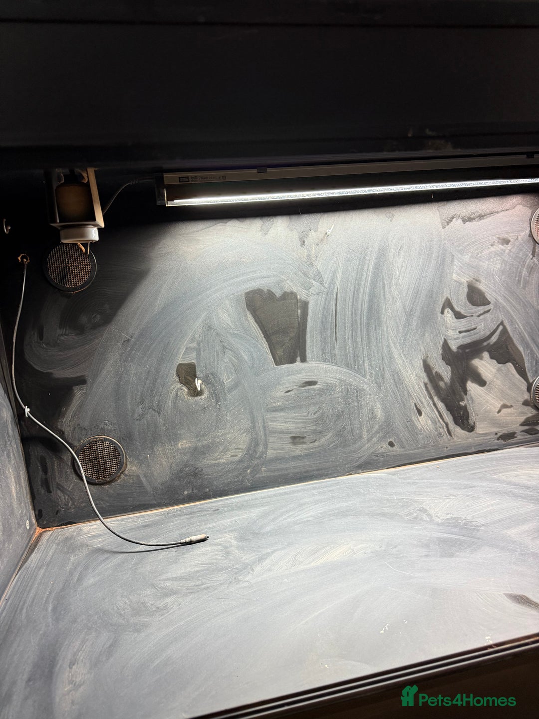 Bearded Dragon reptiles for sale: Bearded dragon vivarium with fittings  - Advert 5