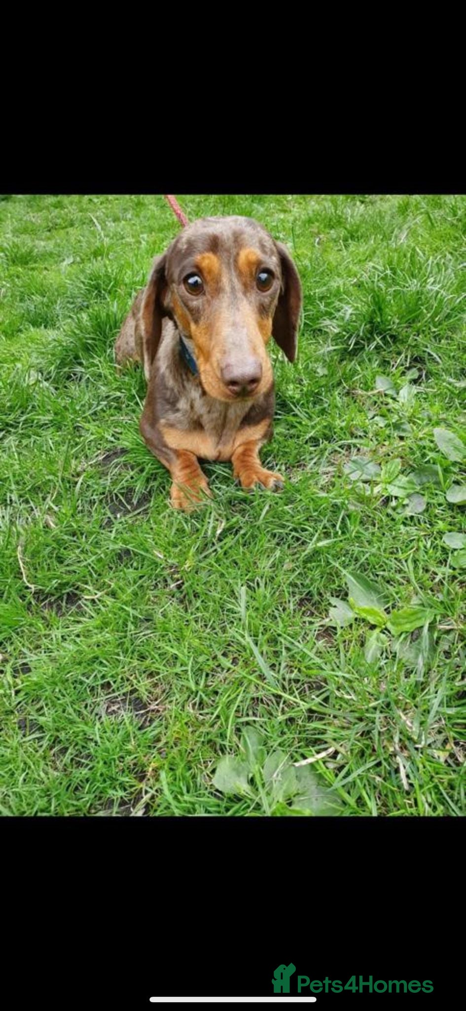 Bruce