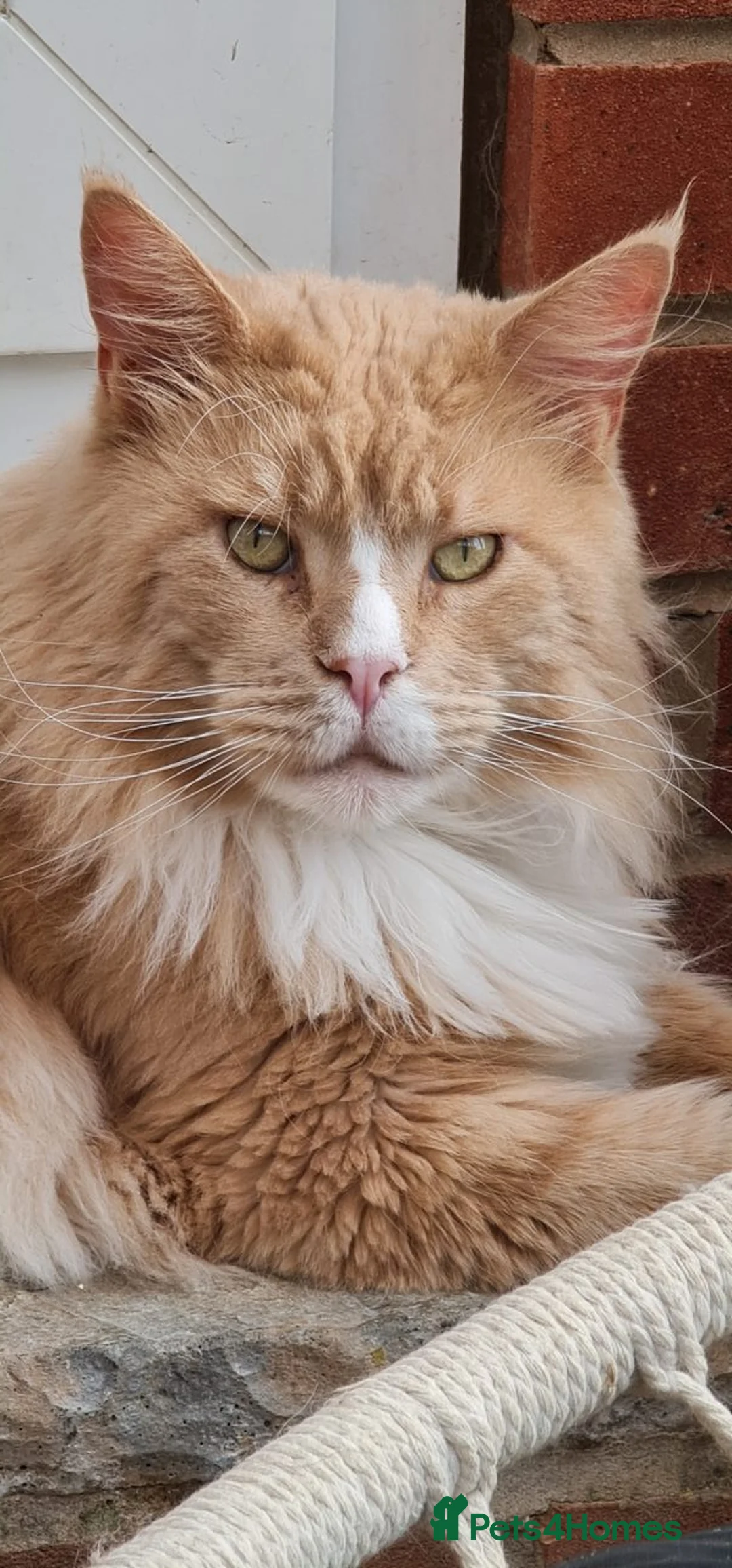 Gallery Image {{count}}