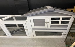 Mini Lop rabbits for sale: 2 Mini Lop + Large Hutch Ready for 5 star Family  - Image 4