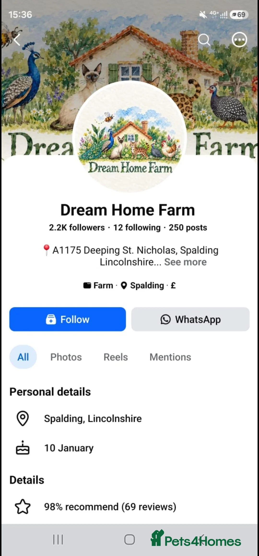 Siamese cats for sale: Beware⚠️ Dream Home farm in Spalding - Advert 1