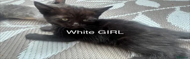 White GIRL