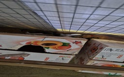 Finches birds for sale: Benghal and Helans finches for sale in E12 - Advert 12