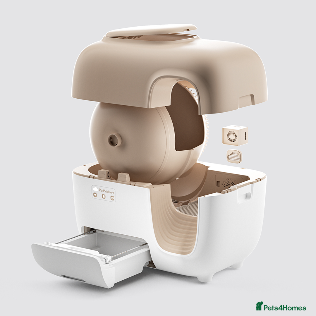 Domestic Shorthair cats for sale: Petsnowy Snow Premium+ Automatic Litter Box  - Image 3