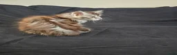 Maine Coon cats for sale: Beautiful TICA Purebred Maine Coon Kittens - Advert 16